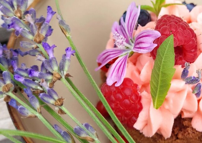 Schokoladenkuchen mit Lavendel und Frischkäsetopping