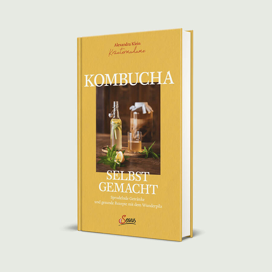 Bild - Kombucha Buch